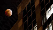 Raleigh Lunar Eclipse