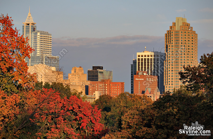 Orange leaves with Raleigh Skyline