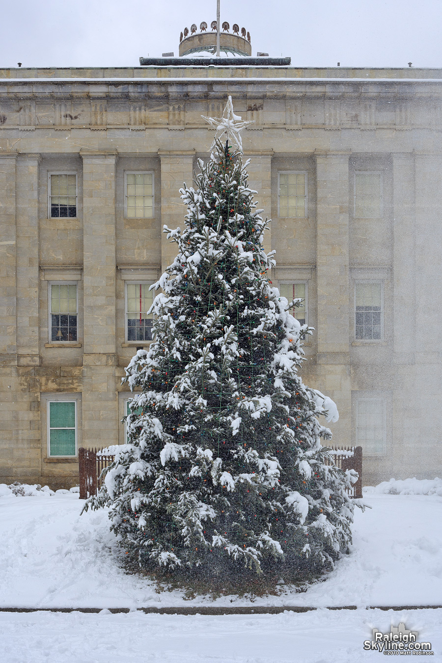 Capitol Christmas tree