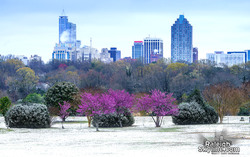 An Early Spring 2017 in Raleigh