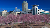 Springtime in Raleigh – 2011