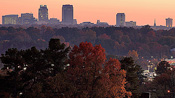 Autumn Colors in Raleigh