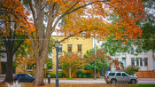 Raleigh Autumn Colors 2015