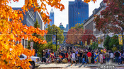 Downtown Raleigh Fall Foliage 2016